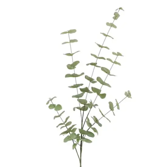 Tall Dusty Green Eucalyptus Stem by Ashland&reg; {3}