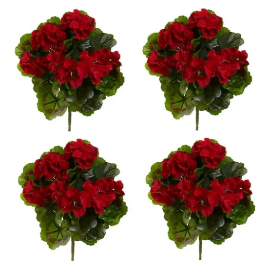 Red Geranium Bush, 4ct. {3}