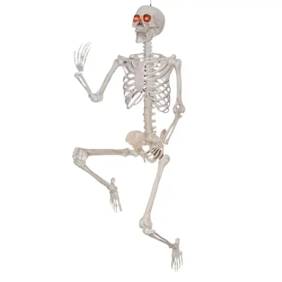 5ft. Poseable Skeleton with Red LED Eyes by Ashland&reg; {1}
