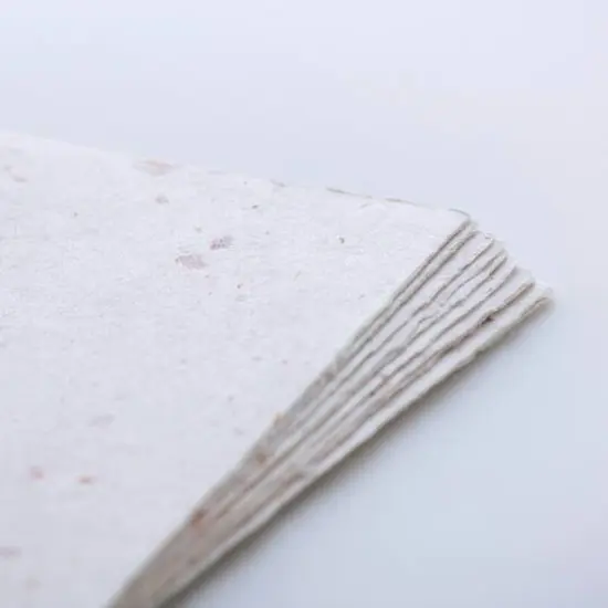 Awagami Thick Infused Handmade Postcards, 10ct. Onion Colors {4}