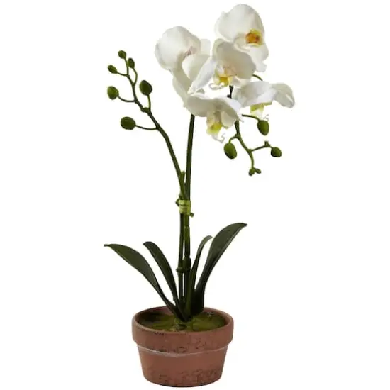 13" Orchid with Clay Vase, 4ct. {6}