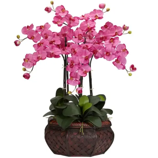 2.5ft. Pink Moth Orchid Flower Arrangement in Bamboo Planter {1}