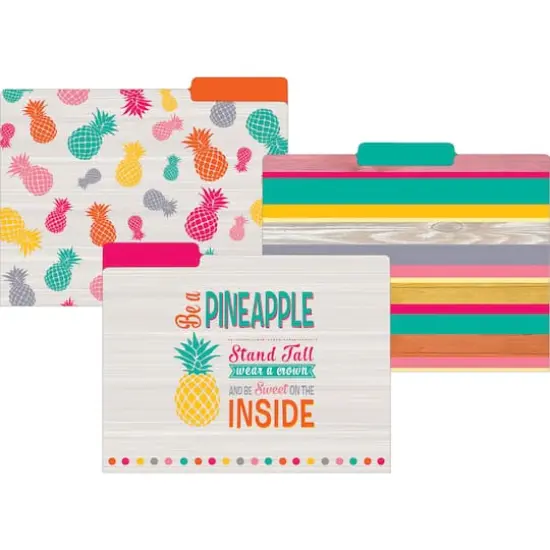 Teacher Created Resources Tropical Punch File Folders, 2 Packs of 12 {3}