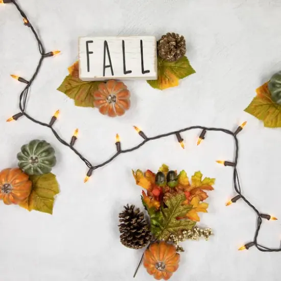 50ct. Amber Mini Fall Harvest Lights {3}