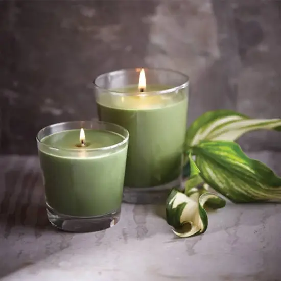 Root Candles 6.3oz. Small Scented Honeycomb Veriglass Jar Candle Hosta {3}