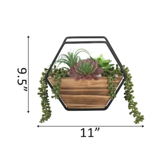 Flora Bunda&reg; 11" Succulent Arrangement in Hexagon Wood & Metal Wall Accent {3}