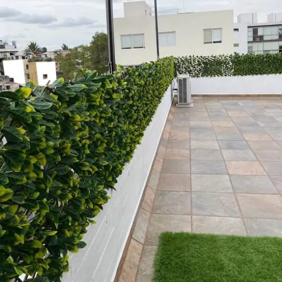 51" Expandable Lemon Leaf Lattice Screen {5}