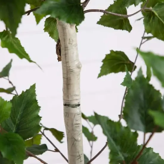 7ft. Birch Tree in Black Planter {6}