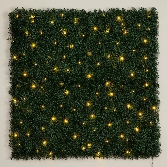 40" Pre-Lit Warm White LED Boxwood Artificial Living Wall Panel {10}