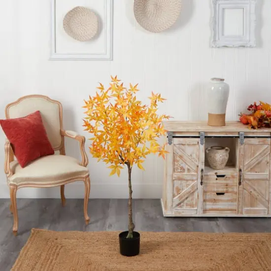 4ft. Potted Yellow Autumn Maple Tree {5}