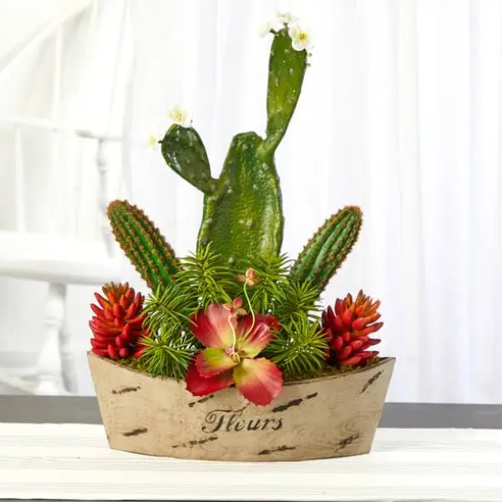 24" Mixed Succulent Plant in Decorative Planter {4}