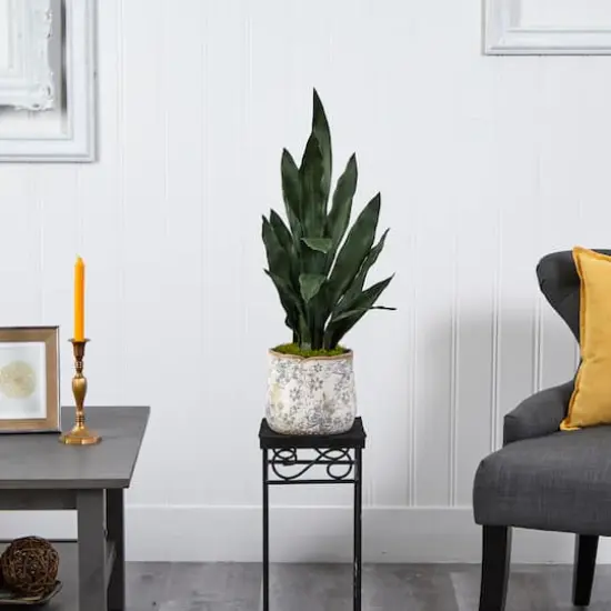 2.5ft. Snake Plant in Decorative Vintage Planter {4}