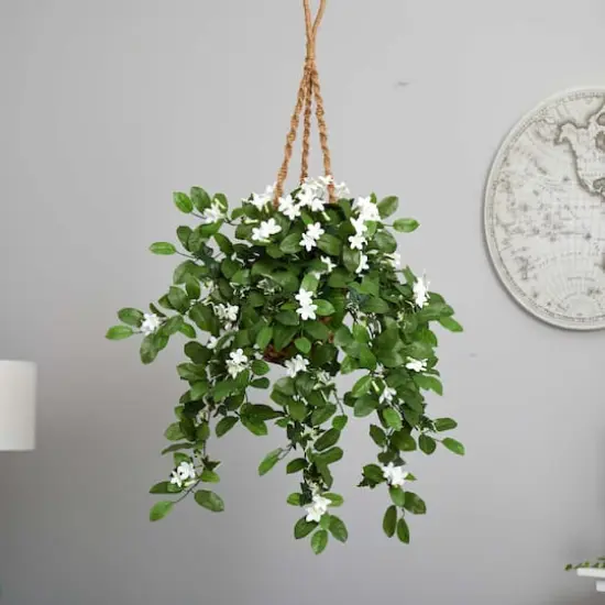 3.5ft. Stephanotis Flowering Plant in Hanging Basket {6}