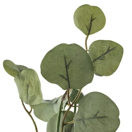 6ft. Eucalyptus Garland by Ashland&reg; {5}