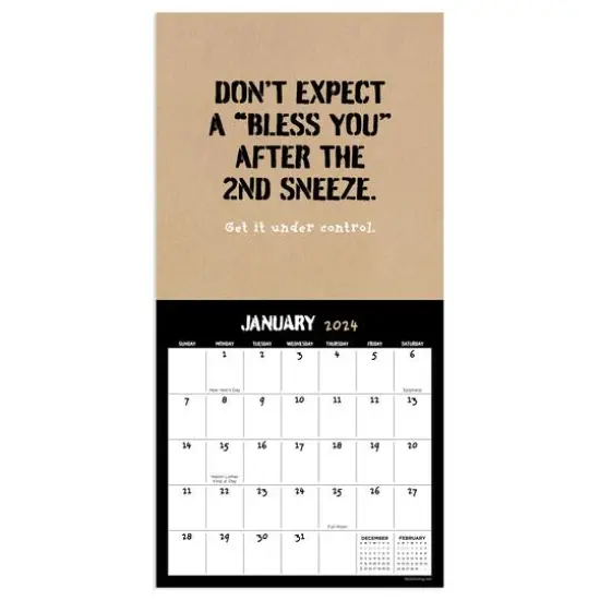 TF Publishing 2024 Anti-Affirmations & Sarcasm Mini Calendar {4}