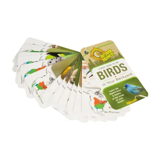 Outdoor Discovery - Little Birder Set {4}