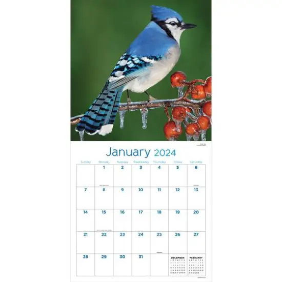 TF Publishing 2024 Backyard Birds Wall Calendar {4}