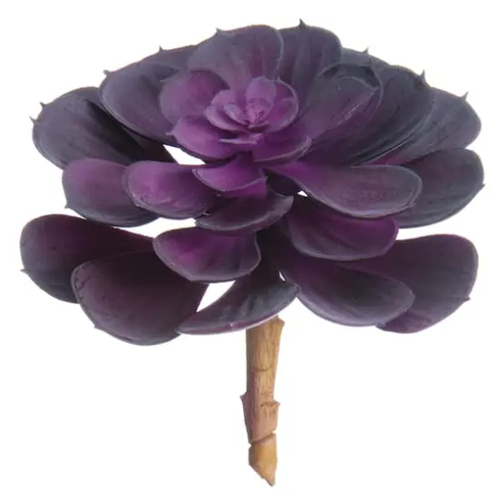 Soft Touch Purple Echeveria Pick  {1}