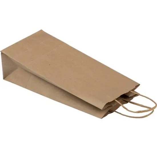 JAM Paper Kraft Paper Wine Gift Bag, 100ct. {4}