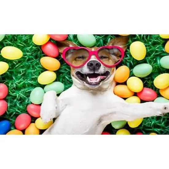 Sparkly Selections Easter Dog Diamond Painting Kit, Round Diamonds {1}