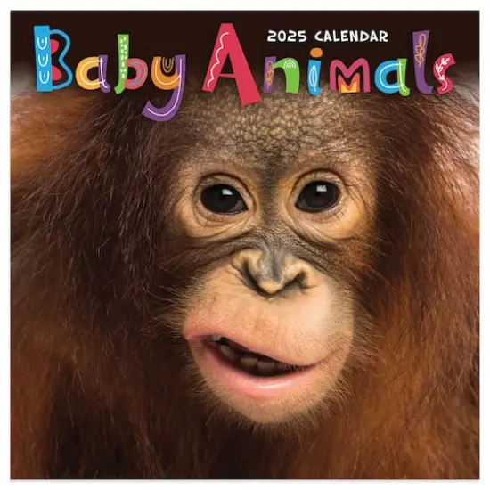 TF Publishing 2025 Baby Animals Mini Calendar {1}