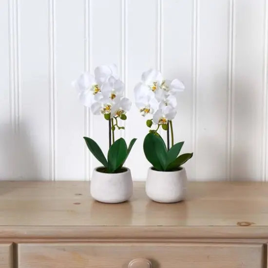 Phalaenopsis Orchid Artificial Arrangement (Set of 2) {5}
