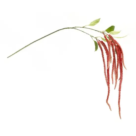 53.25" Red Amaranthus Floral Stems, 4ct. {3}