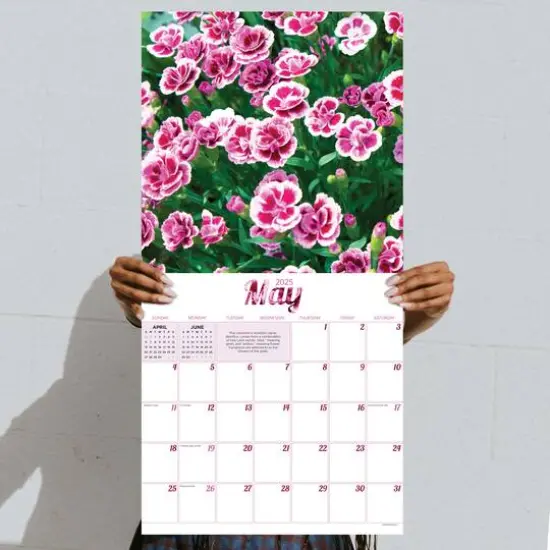 TF Publishing 2025 Flowers Wall Calendar {5}