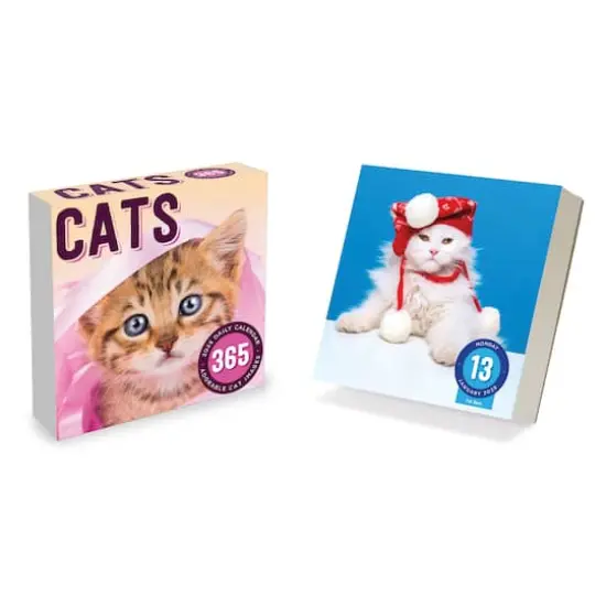 TF Publishing 2025 Cat A Day Daily Desktop Calendar {7}