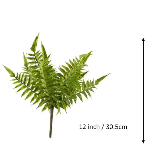 Boston Fern Bush by Ashland&reg; {4}