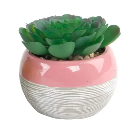 Flora Bunda&reg; Succulent In Two Tone Lines Pattern Pink Ceramic Pot  {1}