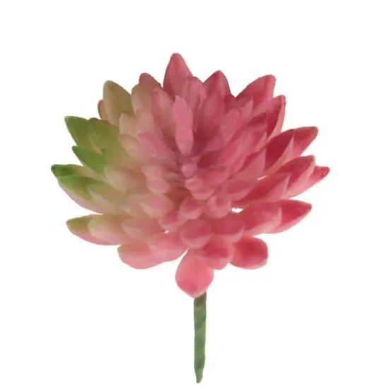 Flora Bunda&reg; Pink Bean Succulent Pick, 12ct. {3}