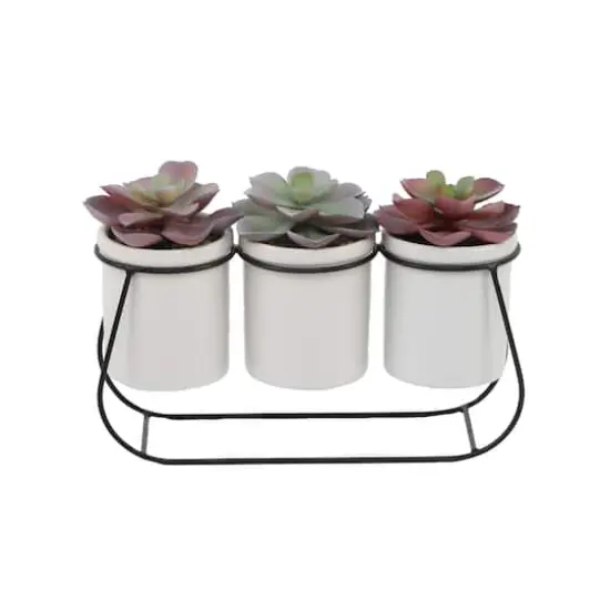 Flora Bunda&reg; 11.5" Potted Succulents in Metal Stand {1}