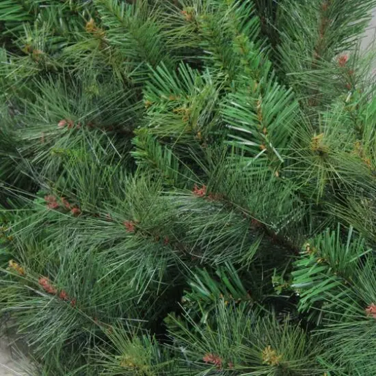 5ft. Mixed Canyon Pine Artificial Christmas Wreath {6}