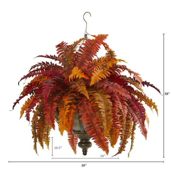 2ft. Autumn Boston Fern in Hanging Metal Bowl {3}
