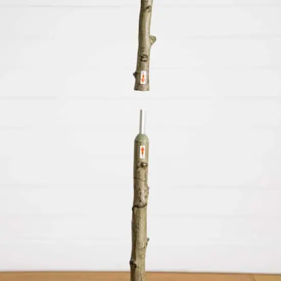 5ft. Artificial Petite Audrey Ficus Tree {6}