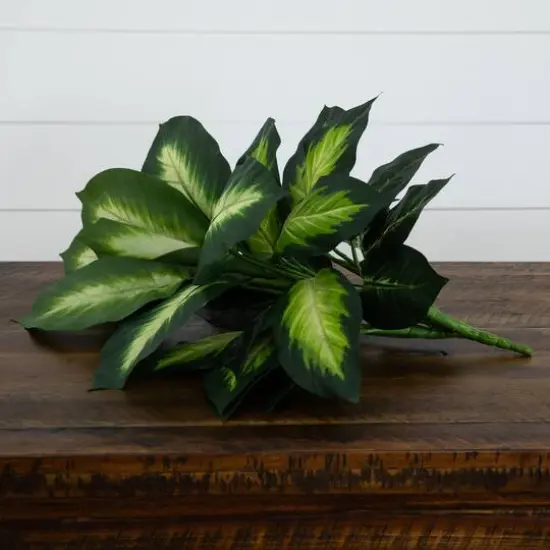 20" Artificial Golden Dieffenbachia Plant, 6ct. {10}
