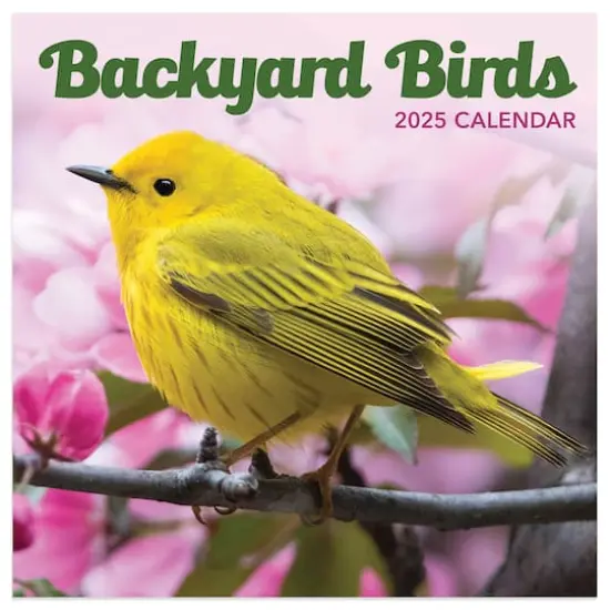 TF Publishing 2025 Backyard Birds Mini Calendar {1}