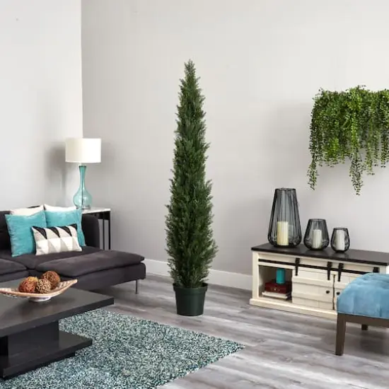 7ft. Potted Mini Cedar Pine Tree {4}