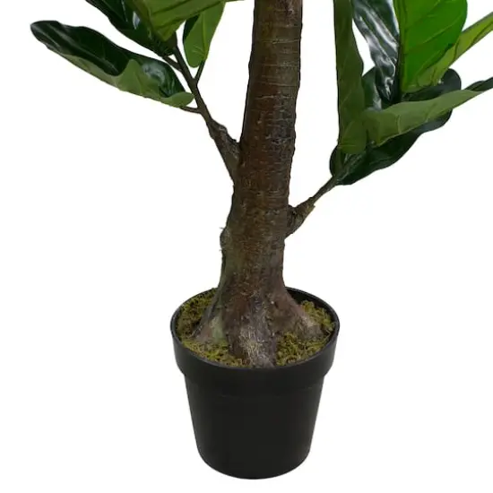 6ft. Dark Green Potted Fiddle Leaf Fig Tree {3}