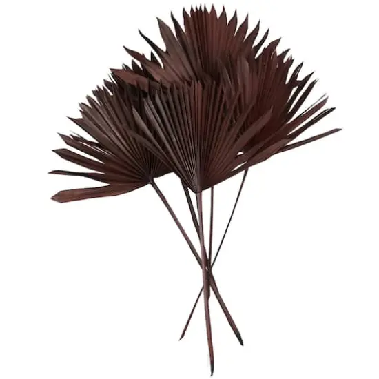 Dark Brown Sun Palm Spear Leaf Foliage Bundle {6}