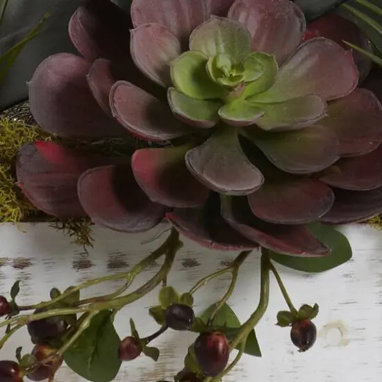 21" Beauty Orchid & Succulent Garden with Whitewashed Planter {4}