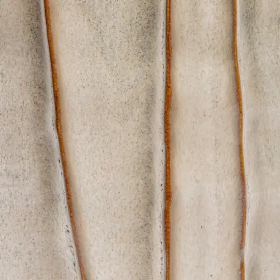 Hello Honey&reg; 5.5" Cream Round Stoneware Pleated Planter {4}