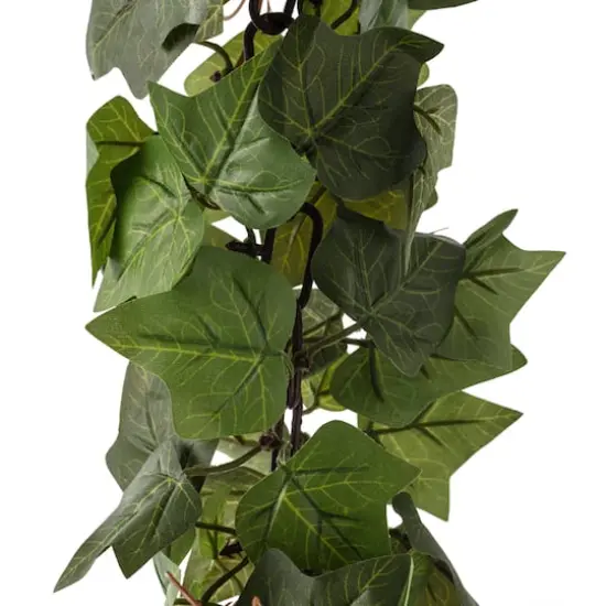 6ft. Chain Ivy Garland by Ashland&reg; {5}