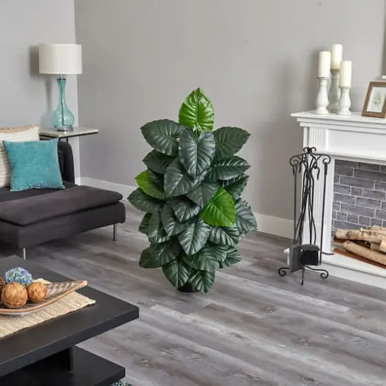 4ft. Potted Taro Plant {4}