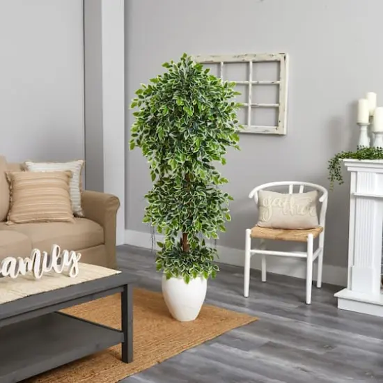 5.5ft. Elegant Ficus Tree in Decorative White Planter {4}