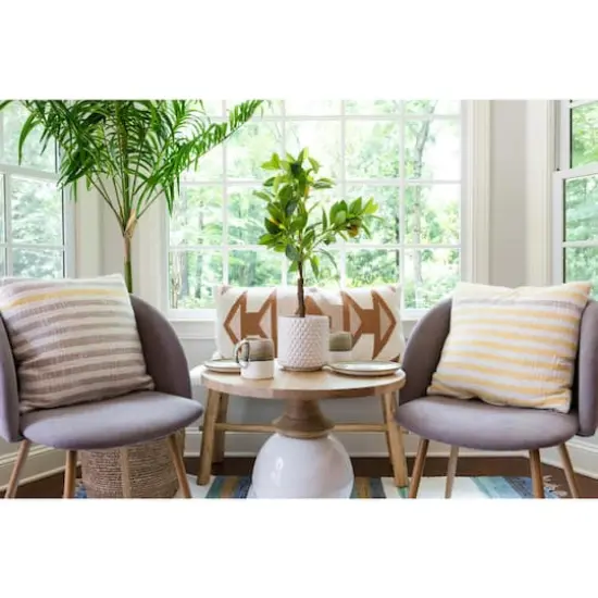 Hello Honey&reg; 6" Round White Polka Dot Stoneware Flower Pot {4}