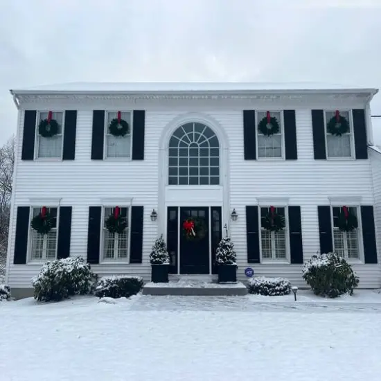 24" Lush Mixed Pine Artificial Christmas Wreath {9}