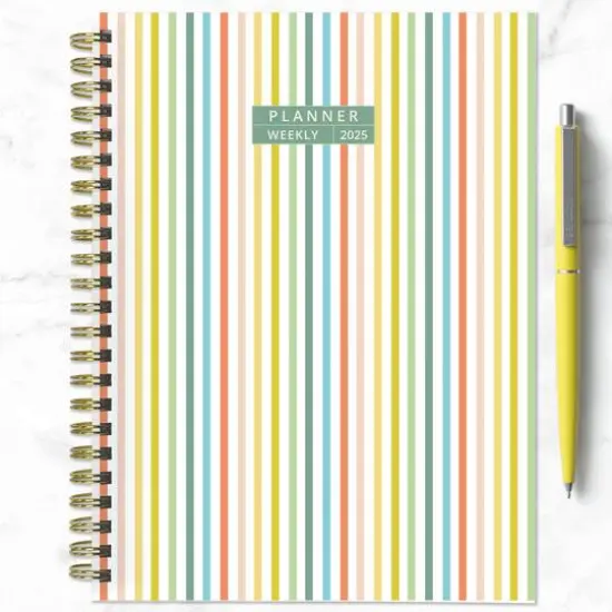 TF Publishing 2025 Medium Malibu Stripes Weekly Monthly Spiral Planner {7}