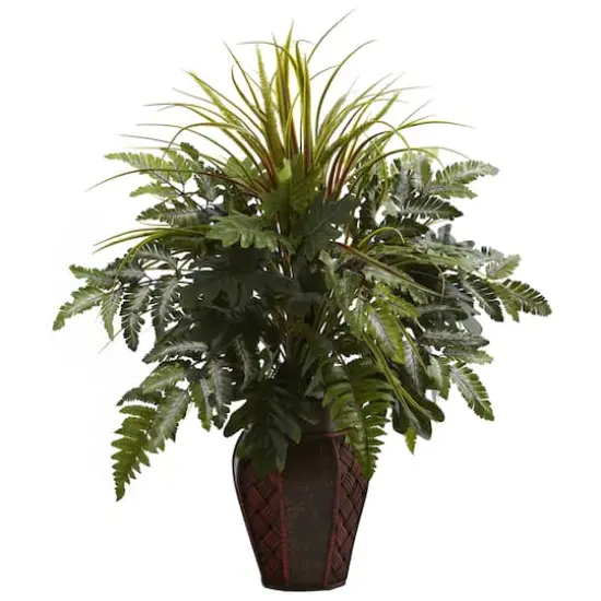 2ft. Mixed Grass & Fern in Decorative Planter {1}